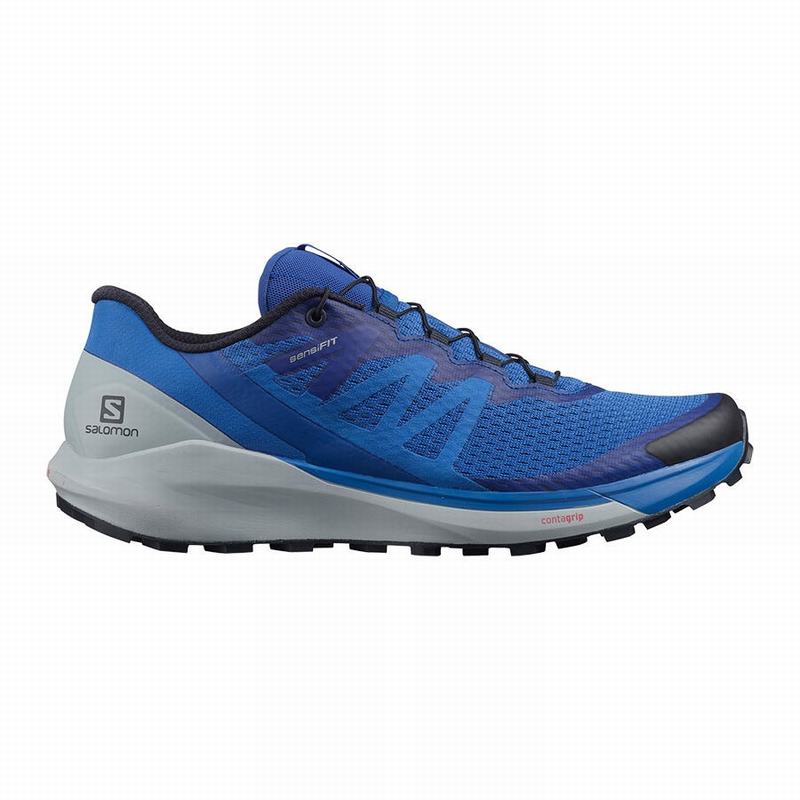 Salomon Israel SENSE RIDE 4 - Mens Running Shoes - Blue (OJMK-47601)